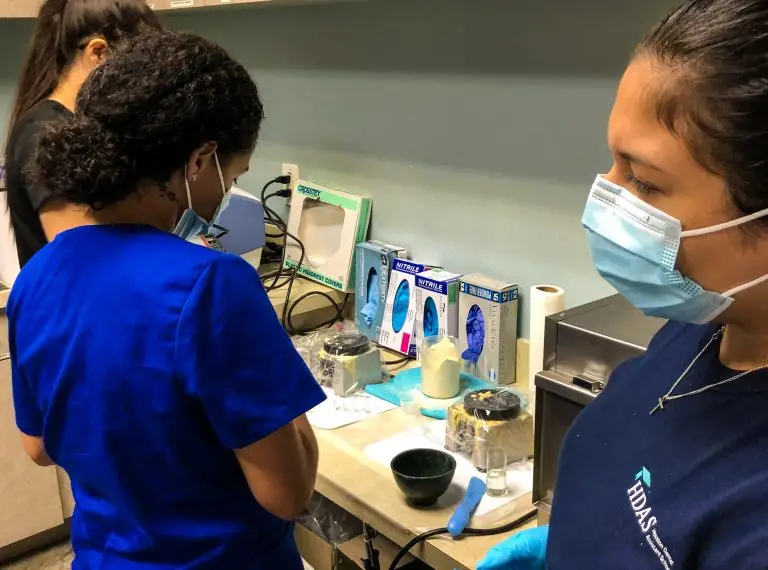 Students preparing materials at the lab counter of a working dental office
