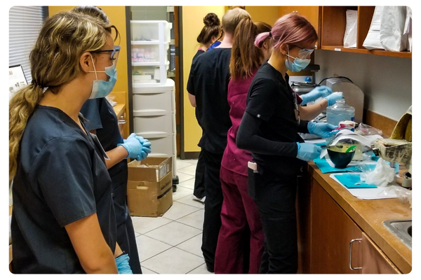 HDAS Lab Class Assistants