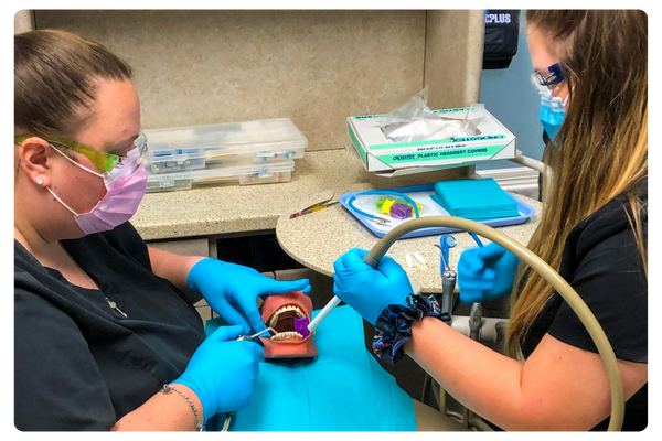 Katy HDAS Dental assistant suctioning