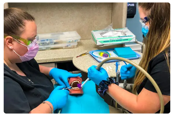 Katy HDAS Dental assistant suctioning